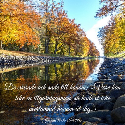 Picture 03 - Johannes 18:30 SV1917 - De svarade och sade till honom: »Vore han icke - Bible Verse Picture