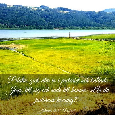 Picture 03 - Johannes 18:33 SV1917 - Pilatus gick åter in i pretoriet och kallade - Bible Verse Picture