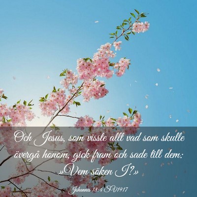 Picture 03 - Johannes 18:4 SV1917 - Och Jesus, som visste allt vad som skulle - Bible Verse Picture