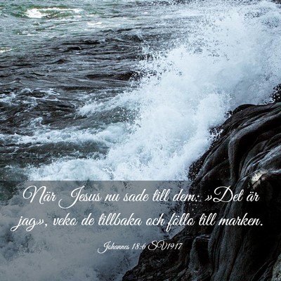 Picture 03 - Johannes 18:6 SV1917 - När Jesus nu sade till dem: »Det är jag», - Bible Verse Picture