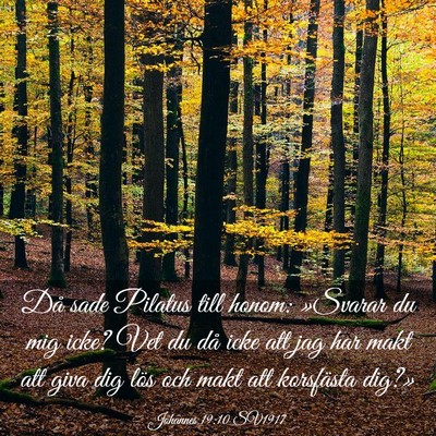 Picture 03 - Johannes 19:10 SV1917 - Då sade Pilatus till honom: »Svarar du mig - Bible Verse Picture