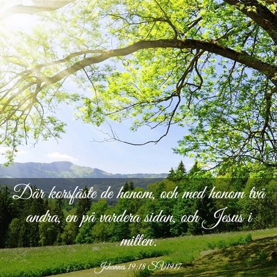 Picture 03 - Johannes 19:18 SV1917 - Där korsfäste de honom, och med honom två - Bible Verse Picture