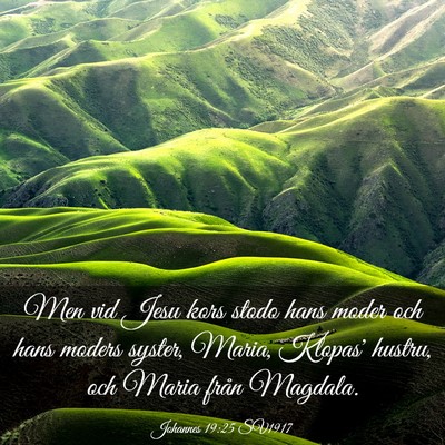 Picture 03 - Johannes 19:25 SV1917 - Men vid Jesu kors stodo hans moder och hans - Bible Verse Picture