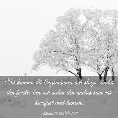 Picture 03 - Johannes 19:32 SV1917 - Så kommo då krigsmännen och slogo sönder den - Bible Verse Picture