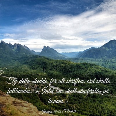Picture 03 - Johannes 19:36 SV1917 - Ty detta skedde, för att skriftens ord skulle - Bible Verse Picture