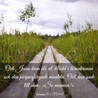 Picture 03 - Johannes 19:5 SV1917 - Och Jesus kom då ut, klädd i törnekronan och - Bible Verse Picture