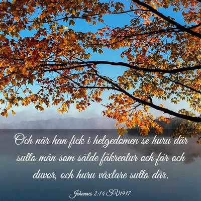 Picture 03 - Johannes 2:14 SV1917 - Och när han fick i helgedomen se huru där sutto - Bible Verse Picture