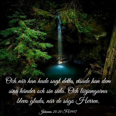 Picture 03 - Johannes 20:20 SV1917 - Och när han hade sagt detta, visade han dem sina - Bible Verse Picture