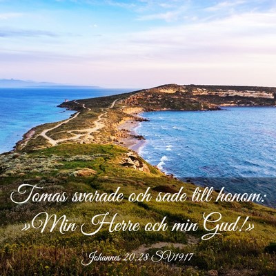 Picture 03 - Johannes 20:28 SV1917 - Tomas svarade och sade till honom: »Min Herre - Bible Verse Picture