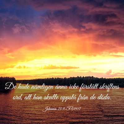 Picture 03 - Johannes 20:9 SV1917 - De hade nämligen ännu icke förstått skriftens - Bible Verse Picture