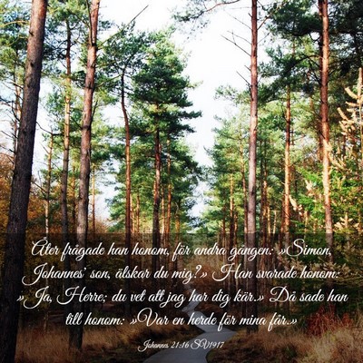 Picture 03 - Johannes 21:16 SV1917 - Åter frågade han honom, för andra gången: - Bible Verse Picture