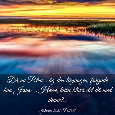 Picture 03 - Johannes 21:21 SV1917 - Då nu Petrus såg den lärjungen, frågade han - Bible Verse Picture