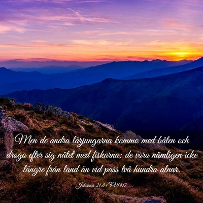 Picture 03 - Johannes 21:8 SV1917 - Men de andra lärjungarna kommo med båten och - Bible Verse Picture