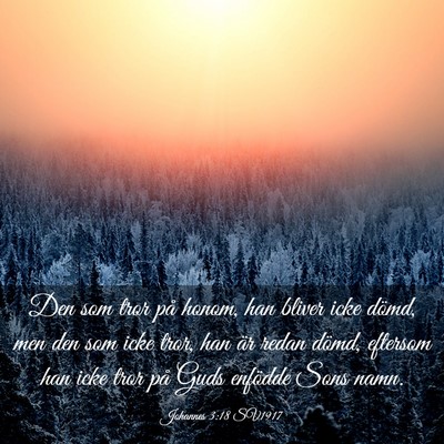 Picture 03 - Johannes 3:18 SV1917 - Den som tror på honom, han bliver icke dömd, - Bible Verse Picture
