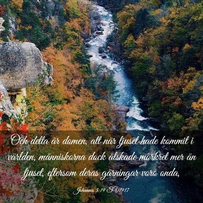 Picture 03 - Johannes 3:19 SV1917 - Och detta är domen, att när ljuset hade kommit - Bible Verse Picture