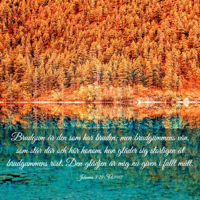 Picture 03 - Johannes 3:29 SV1917 - Brudgum är den som har bruden; men brudgummens - Bible Verse Picture