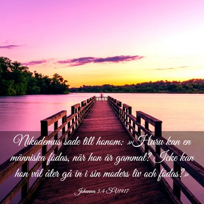 Picture 03 - Johannes 3:4 SV1917 - Nikodemus sade till honom: »Huru kan en - Bible Verse Picture