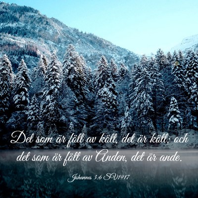 Picture 03 - Johannes 3:6 SV1917 - Det som är fött av kött, det är kött; och - Bible Verse Picture