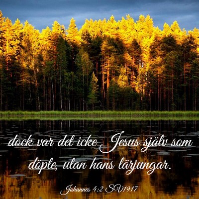 Picture 03 - Johannes 4:2 SV1917 - dock var det icke Jesus själv som döpte, utan - Bible Verse Picture