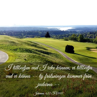 Picture 03 - Johannes 4:22 SV1917 - I tillbedjen vad I icke kännen, vi tillbedja vad - Bible Verse Picture