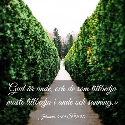 Picture 03 - Johannes 4:24 SV1917 - Gud är ande, och de som tillbedja måste - Bible Verse Picture