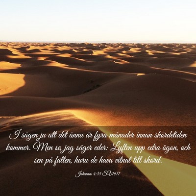 Picture 03 - Johannes 4:35 SV1917 - I sägen ju att det ännu är fyra månader innan - Bible Verse Picture