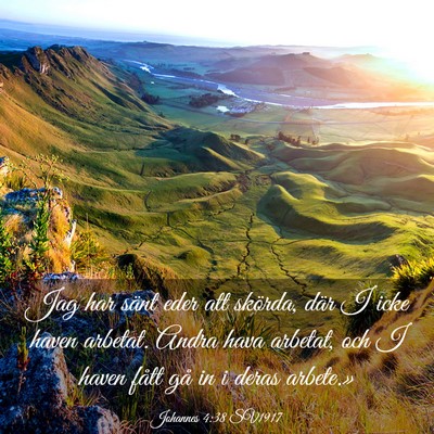 Picture 03 - Johannes 4:38 SV1917 - Jag har sänt eder att skörda, där I icke haven - Bible Verse Picture