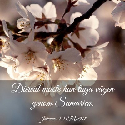 Picture 03 - Johannes 4:4 SV1917 - Därvid måste han taga vägen genom - Bible Verse Picture