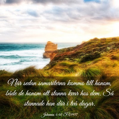 Picture 03 - Johannes 4:40 SV1917 - När sedan samariterna kommo till honom, både de - Bible Verse Picture