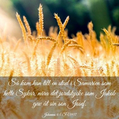Picture 03 - Johannes 4:5 SV1917 - Så kom han till en stad i Samarien som hette - Bible Verse Picture