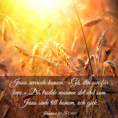 Picture 03 - Johannes 4:50 SV1917 - Jesus svarade honom: »Gå, din son får leva.» - Bible Verse Picture