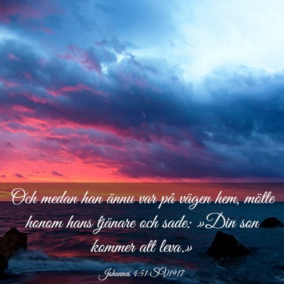 Picture 03 - Johannes 4:51 SV1917 - Och medan han ännu var på vägen hem, mötte - Bible Verse Picture