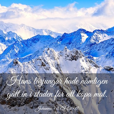 Picture 03 - Johannes 4:8 SV1917 - Hans lärjungar hade nämligen gått in i staden - Bible Verse Picture