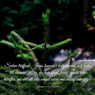 Picture 03 - Johannes 5:14 SV1917 - Sedan träffade Jesus honom i helgedomen och sade - Bible Verse Picture