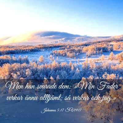 Picture 03 - Johannes 5:17 SV1917 - Men han svarade dem: »Min Fader verkar ännu - Bible Verse Picture