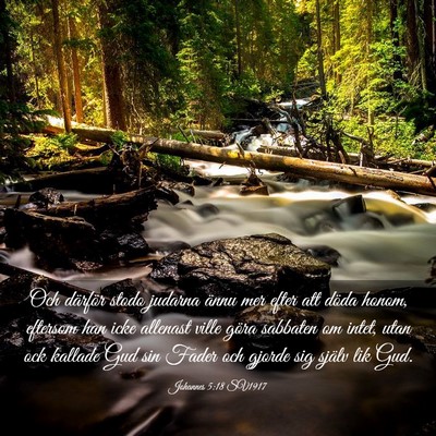 Picture 03 - Johannes 5:18 SV1917 - Och därför stodo judarna ännu mer efter att - Bible Verse Picture