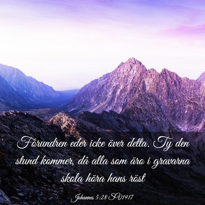 Picture 03 - Johannes 5:28 SV1917 - Förundren eder icke över detta. Ty den stund - Bible Verse Picture