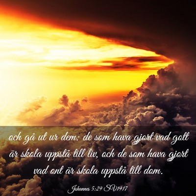 Picture 03 - Johannes 5:29 SV1917 - och gå ut ur dem: de som hava gjort vad gott är - Bible Verse Picture