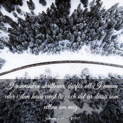 Picture 03 - Johannes 5:39 SV1917 - I rannsaken skrifterna, därför att I menen eder - Bible Verse Picture