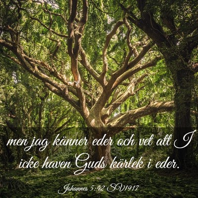 Picture 03 - Johannes 5:42 SV1917 - men jag känner eder och vet att I icke haven - Bible Verse Picture