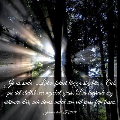 Picture 03 - Johannes 6:10 SV1917 - Jesus sade: »Låten folket lägga sig här.» - Bible Verse Picture
