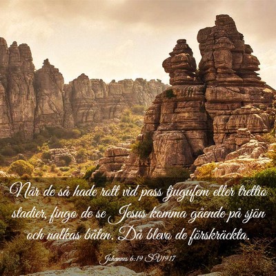 Picture 03 - Johannes 6:19 SV1917 - När de så hade rott vid pass tjugufem eller - Bible Verse Picture