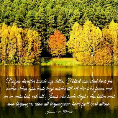 Picture 03 - Johannes 6:22 SV1917 - Dagen därefter hände sig detta. Folket som stod - Bible Verse Picture