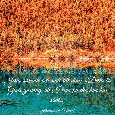 Picture 03 - Johannes 6:29 SV1917 - Jesus svarade och sade till dem: »Detta är Guds - Bible Verse Picture