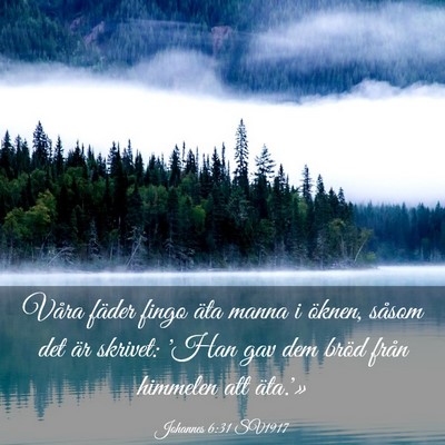 Picture 03 - Johannes 6:31 SV1917 - Våra fäder fingo äta manna i öknen, såsom - Bible Verse Picture