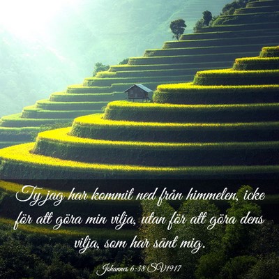 Picture 03 - Johannes 6:38 SV1917 - Ty jag har kommit ned från himmelen, icke för - Bible Verse Picture