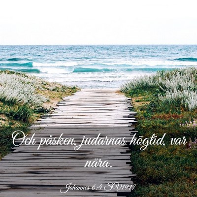 Picture 03 - Johannes 6:4 SV1917 - Och påsken, judarnas högtid, var - Bible Verse Picture