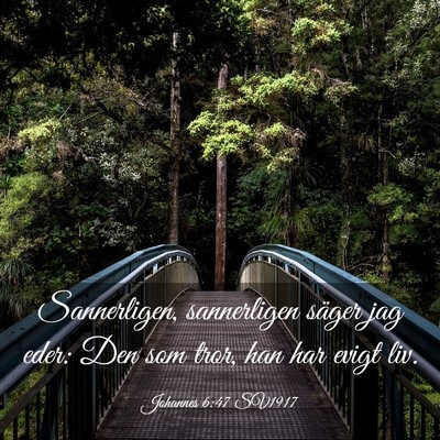 Picture 03 - Johannes 6:47 SV1917 - Sannerligen, sannerligen säger jag eder: Den som - Bible Verse Picture