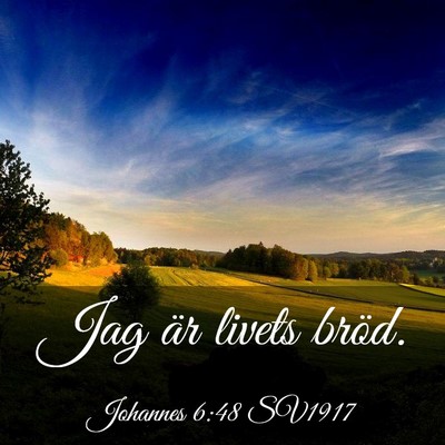 Picture 03 - Johannes 6:48 SV1917 - Jag är livets - Bible Verse Picture