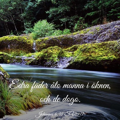 Picture 03 - Johannes 6:49 SV1917 - Edra fäder åto manna i öknen, och de - Bible Verse Picture